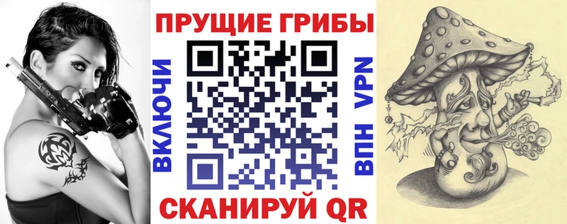 хочу Артём мега как зайти Галлюциногенные грибы GOLDEN TEACHER